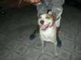 Vencedor