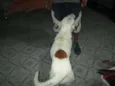 Vencedor