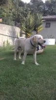 desconhecido