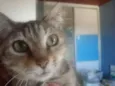 anita