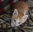 LORENZO