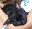 Bebê