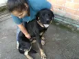 Tufão