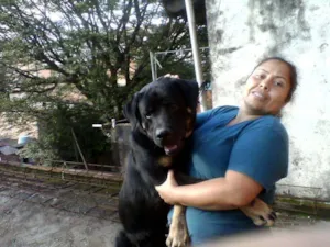 Cachorro raça Rottweiler idade 1 ano nome Tufão