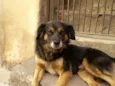 Bili
