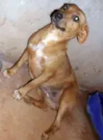 Nina