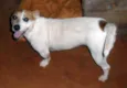 Lola