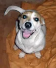 Lola