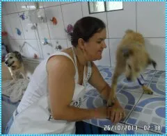 Cachorro ra a Vira-lata idade 4 anos nome Rabujo