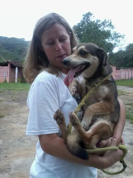 Cachorro ra a vira-lata idade 3 anos nome Susie