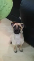 Paçoca