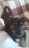 kira