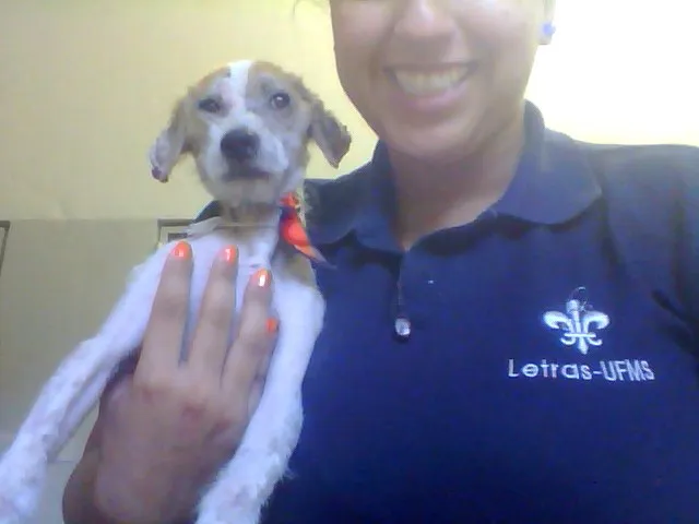 Cachorro ra a  idade  nome Billy