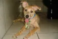 BOBY
