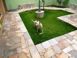 Cachorro raça SRD idade 1 ano nome Desconhecido