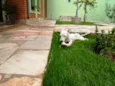 Desconhecido