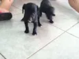 1, 2 e 3