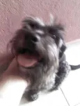 Bob