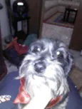 Bob