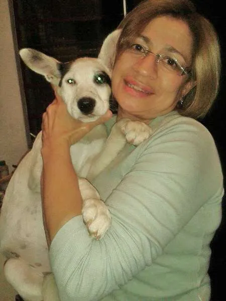 Cachorro ra a Pit-Bull idade 2 a 6 meses nome AKASHA