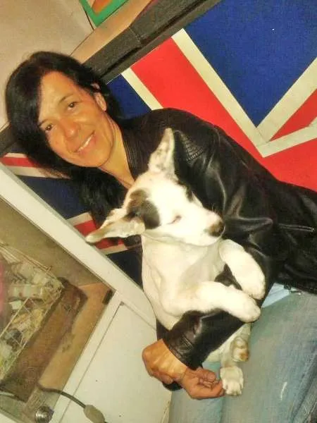 Cachorro ra a Pit-Bull idade 2 a 6 meses nome AKASHA