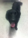 ENCONTRADA ZONA SUL SP