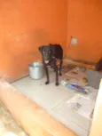 LAURO