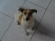 Julie