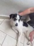 ?