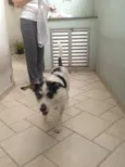?