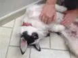 ?