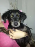 Vicky
