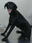 Teteca