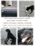 Teteca