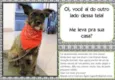 Esperando você dar