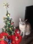 Nina