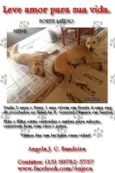 Duda e Nene