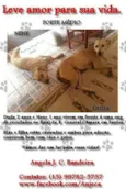 Duda e Nene