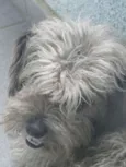 Bob