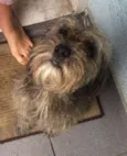 Bob