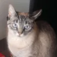 Nina