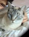 Nina