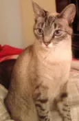 Nina