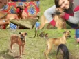 Julie