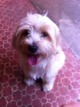 Marley
