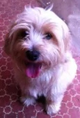Marley