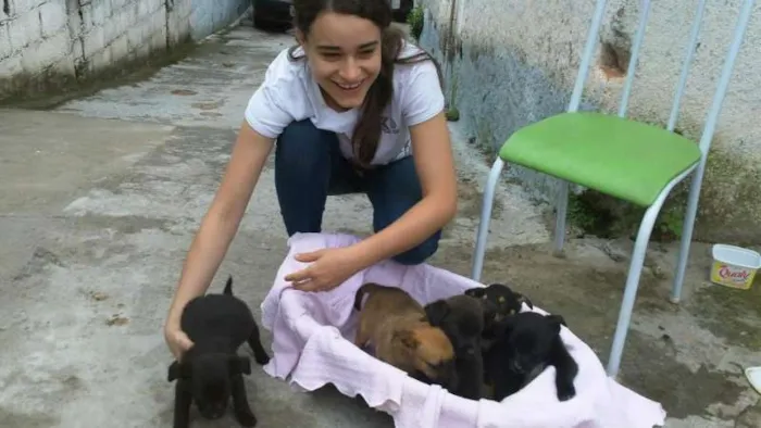 Cachorro ra a SRD idade 2 a 6 meses nome ninhada 