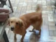 Fred