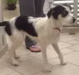 ?