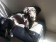 Vicky